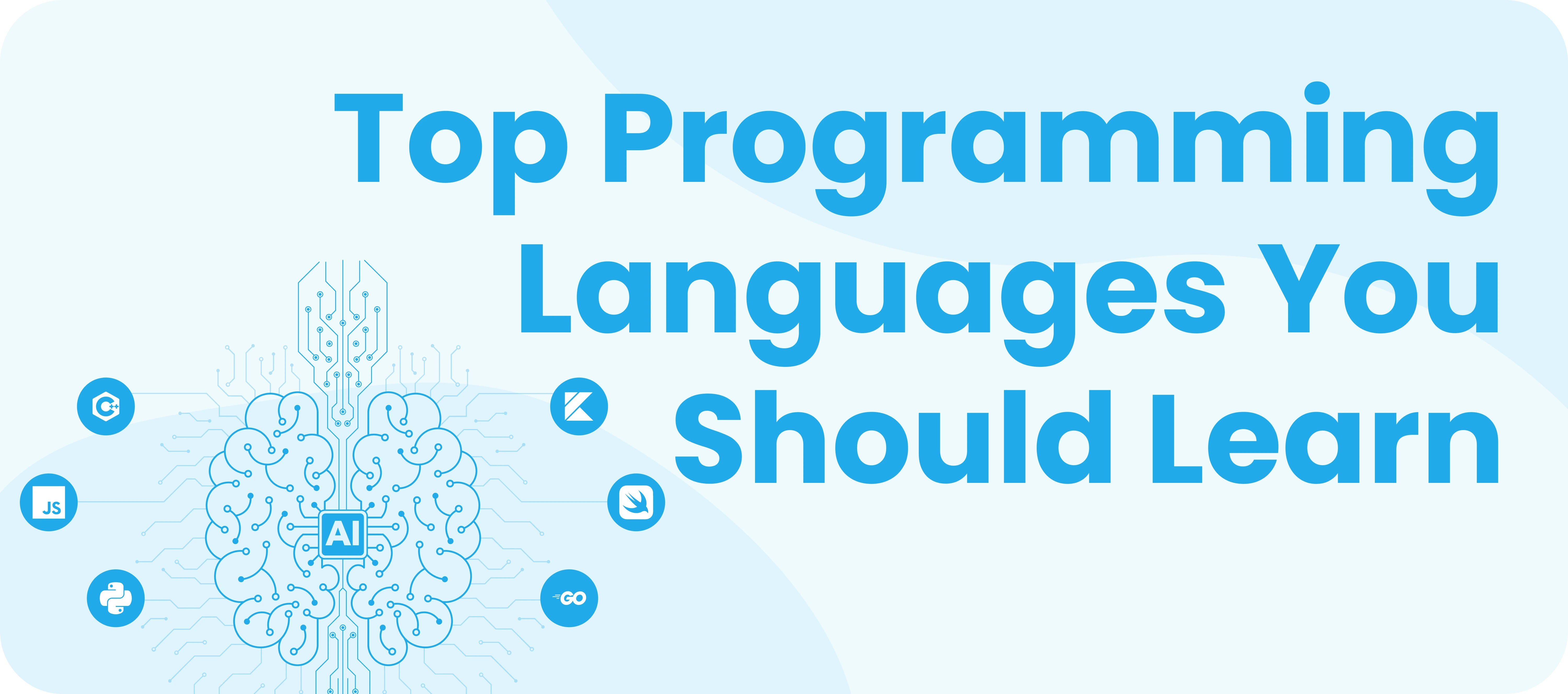 Top Programming Languages Every AI Software Developer Should Learn Now